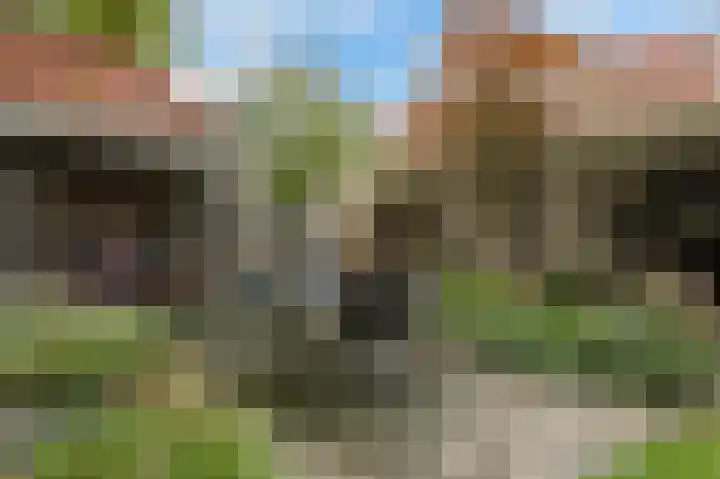 Dennenhof 17 Langeveen thumbnail 21
