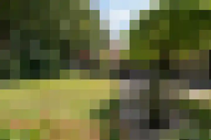 Dennenhof 17 Langeveen thumbnail 22