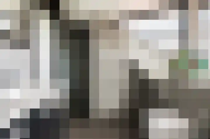 Dennenhof 17 Langeveen thumbnail 32