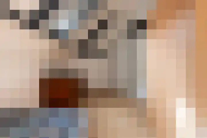 Dennenhof 17 Langeveen thumbnail 34