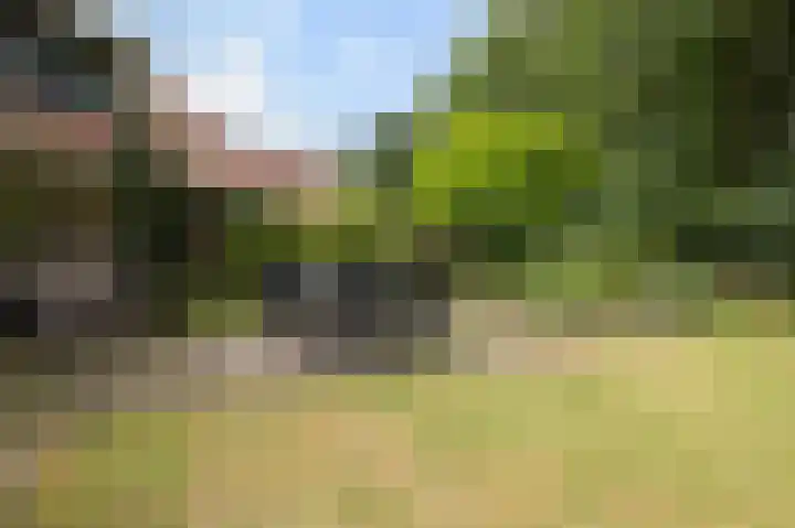 Dennenhof 17 Langeveen thumbnail 35