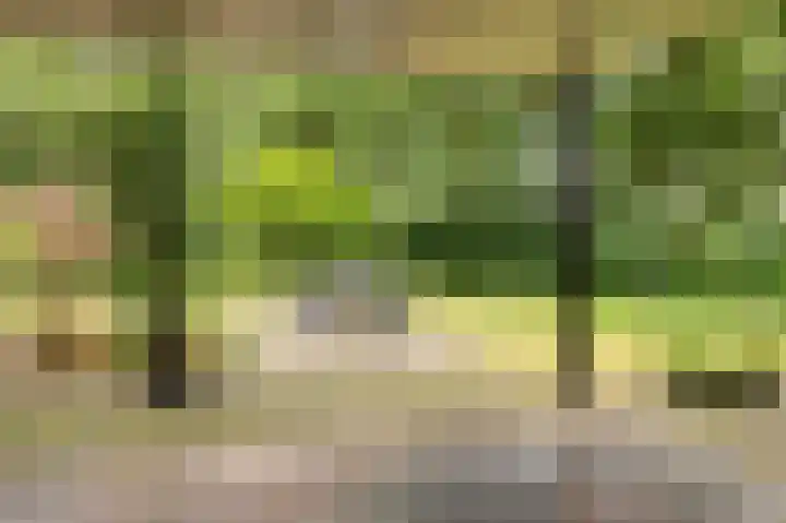 Dennenhof 17 Langeveen thumbnail 36