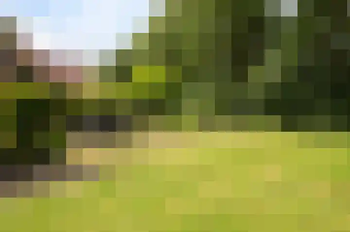 Dennenhof 17 Langeveen thumbnail 37