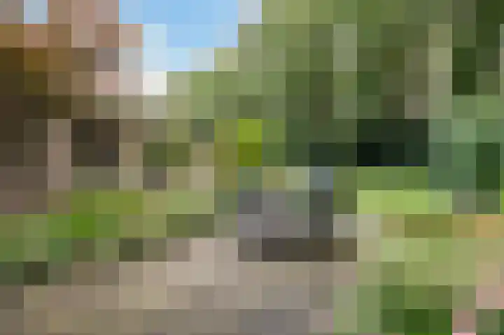 Dennenhof 17 Langeveen thumbnail 38