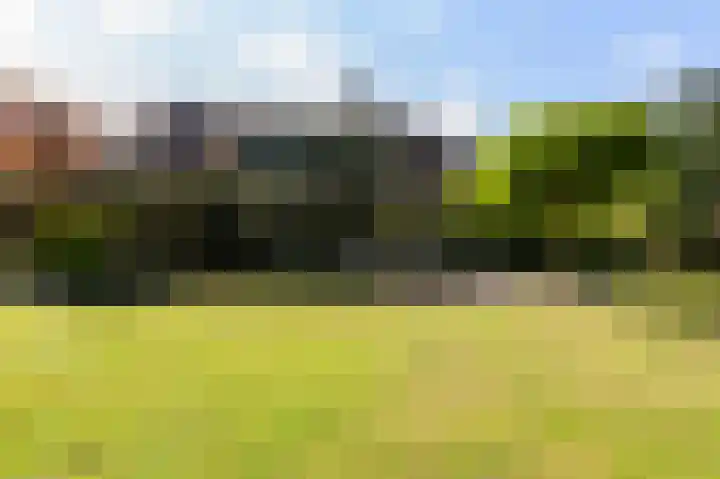 Dennenhof 17 Langeveen thumbnail 39