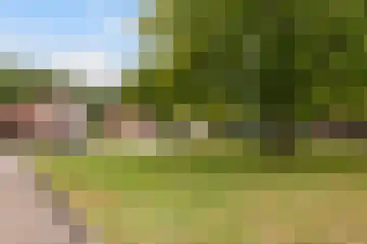 Dennenhof 17 Langeveen thumbnail 4