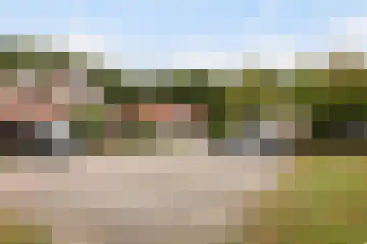 Dennenhof 17 Langeveen thumbnail 40