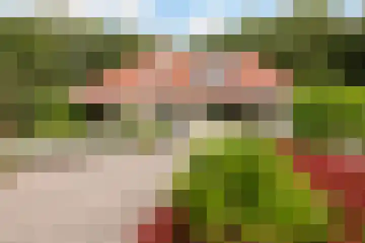Dennenhof 17 Langeveen thumbnail 42