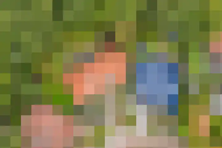 Dennenhof 17 Langeveen thumbnail 43
