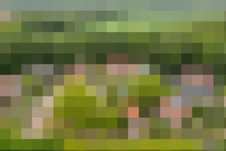 Dennenhof 17 Langeveen thumbnail 44