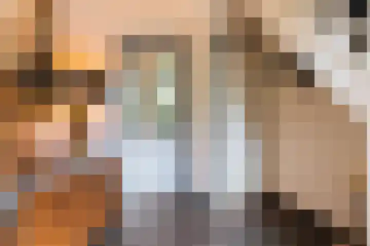 Dennenhof 17 Langeveen thumbnail 8