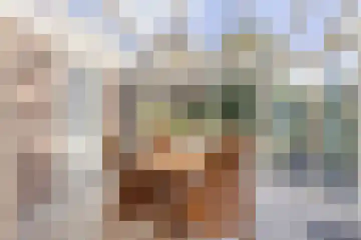 Dennenhof 55 Made thumbnail 18