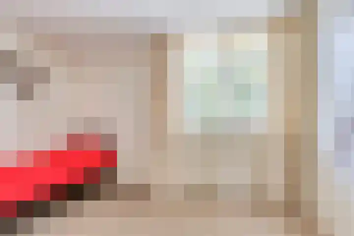 Dennenhof 55 Made thumbnail 26