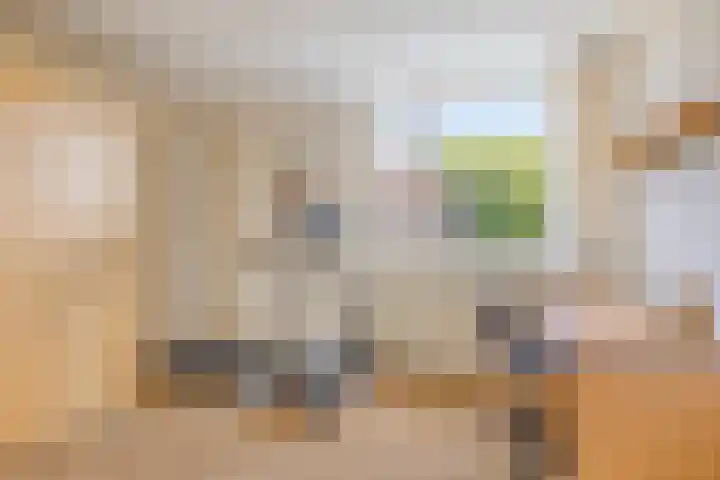 Dennenhof 55 Made thumbnail 27