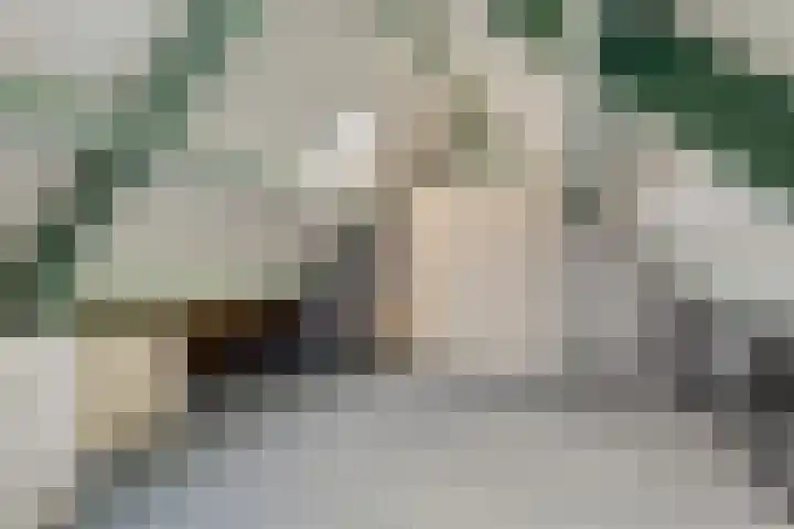 Dennenhof 55 Made thumbnail 28
