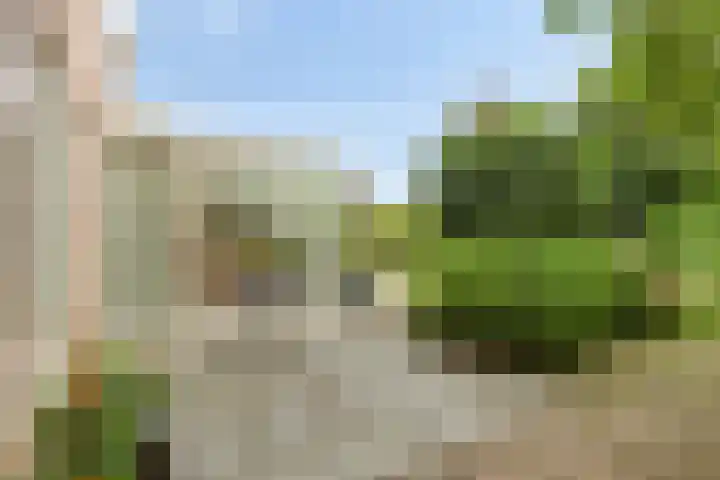 Dennenhof 55 Made thumbnail 30