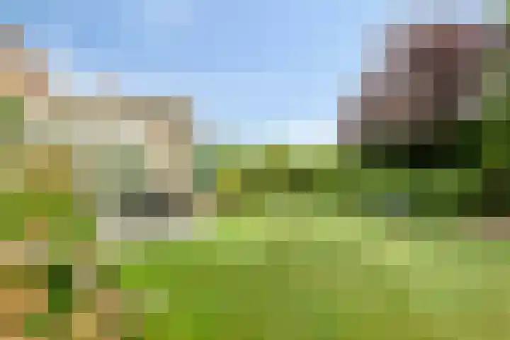 Dennenhof 55 Made thumbnail 32