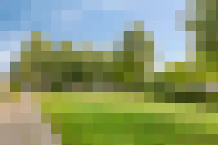 Dennenhof 55 Made thumbnail 34