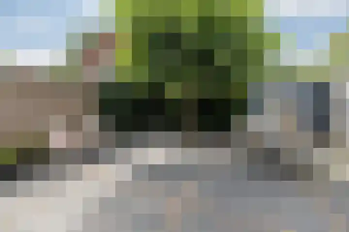 Dennenhorst 19 Driebergen-Rijsenburg thumbnail 37