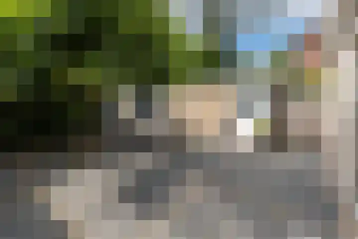 Dennenhorst 19 Driebergen-Rijsenburg thumbnail 38