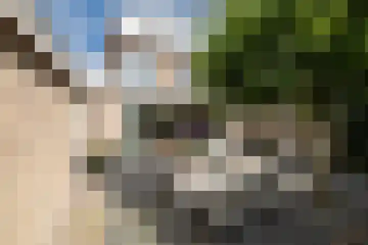 Dennenhorst 19 Driebergen-Rijsenburg thumbnail 40
