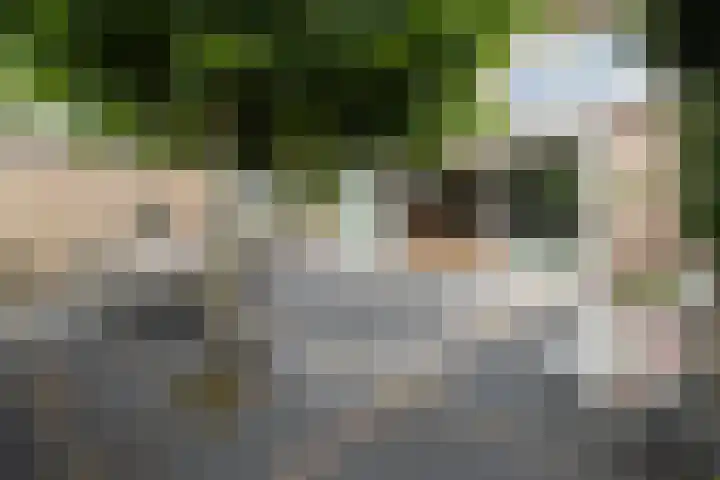Dennenhorst 19 Driebergen-Rijsenburg thumbnail 41