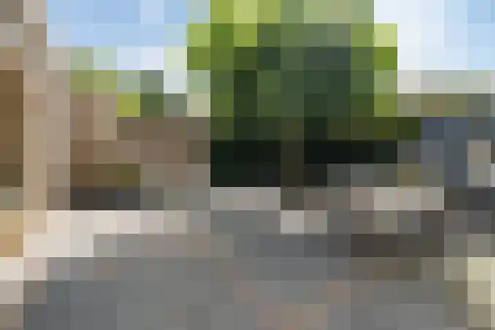 Dennenhorst 19 Driebergen-Rijsenburg thumbnail 42