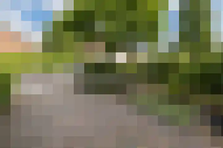 Dennenhorst 19 Driebergen-Rijsenburg thumbnail 45