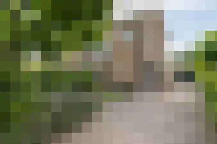 Dennenhorst 19 Driebergen-Rijsenburg thumbnail 46