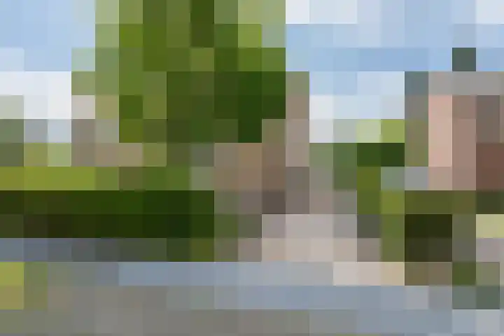 Dennenhorst 19 Driebergen-Rijsenburg thumbnail 47