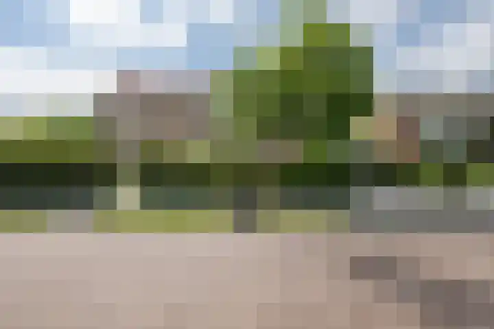 Dennenhorst 19 Driebergen-Rijsenburg thumbnail 48