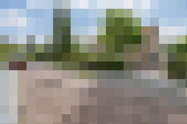 Dennenhorst 19 Driebergen-Rijsenburg thumbnail 49