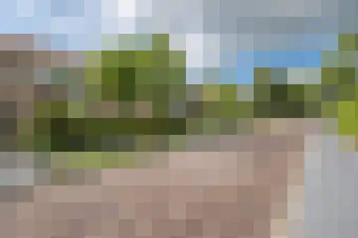 Dennenhorst 19 Driebergen-Rijsenburg thumbnail 50