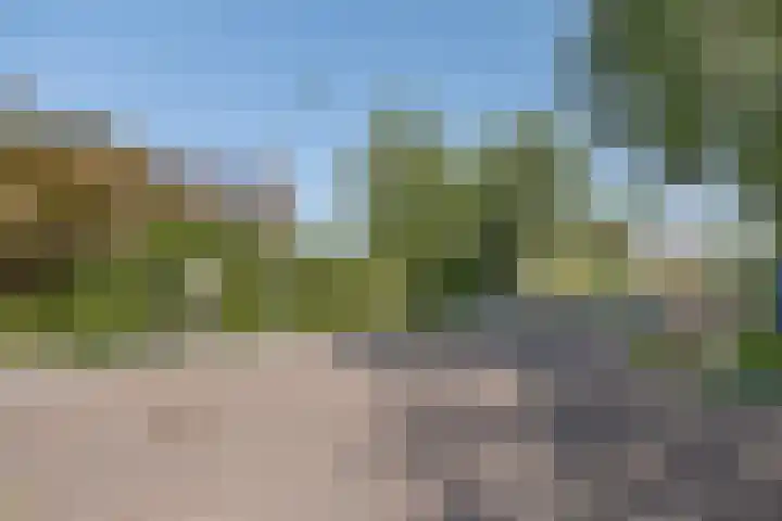Dennenhorst 32 Driebergen-Rijsenburg thumbnail 51