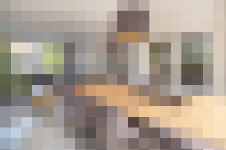 Dennenhorst 32 Driebergen-Rijsenburg thumbnail 7