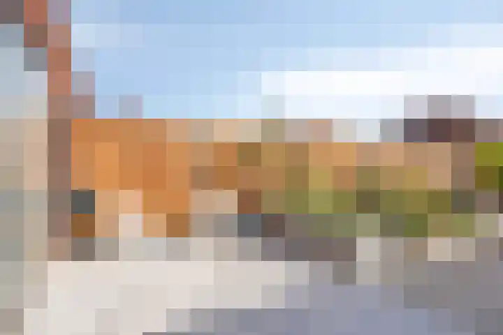 Dennenhout 11 Waddinxveen thumbnail 19