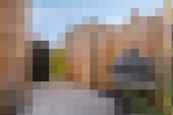 Dennenhout 11 Waddinxveen thumbnail 21