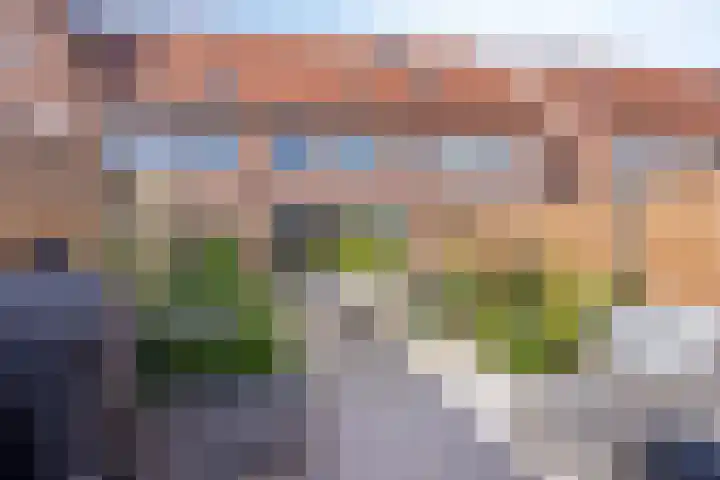 Dennenhout 11 Waddinxveen thumbnail 24