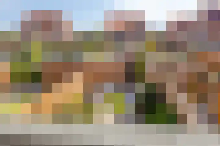 Dennenhout 11 Waddinxveen thumbnail 32