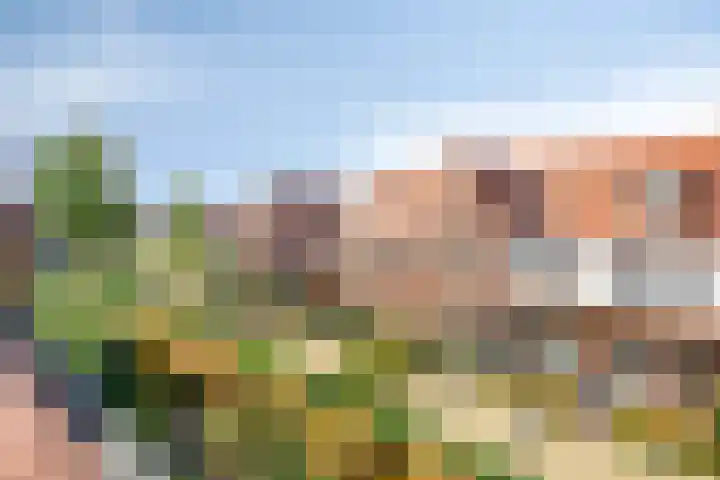 Dennenhout 11 Waddinxveen thumbnail 38