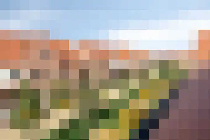 Dennenhout 11 Waddinxveen thumbnail 39