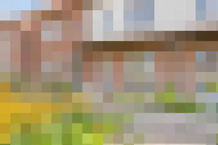 Dennenhout 11 Waddinxveen thumbnail 41