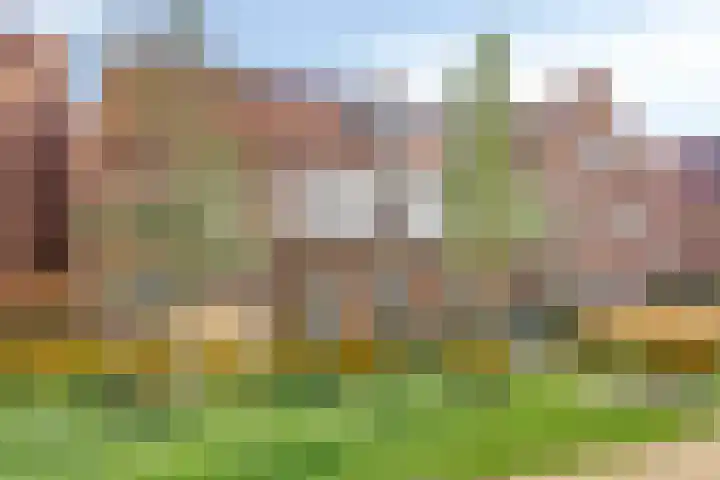 Dennenhout 11 Waddinxveen thumbnail 42