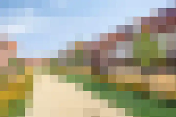 Dennenhout 11 Waddinxveen thumbnail 43