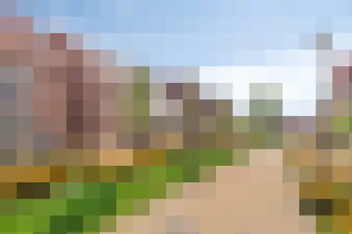 Dennenhout 11 Waddinxveen thumbnail 44
