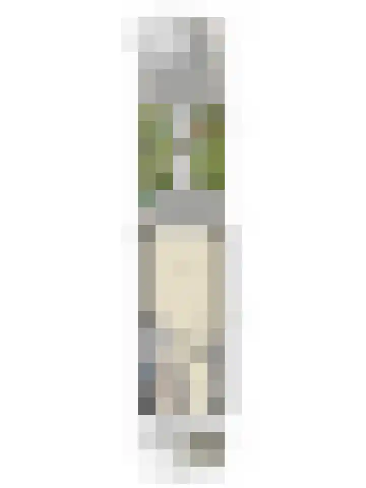 Dennenhout 11 Waddinxveen thumbnail 48