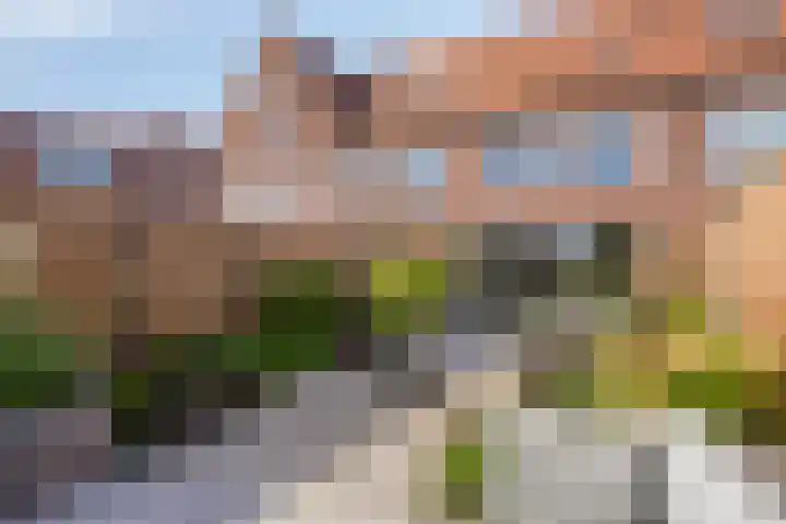 Dennenhout 11 Waddinxveen thumbnail 5