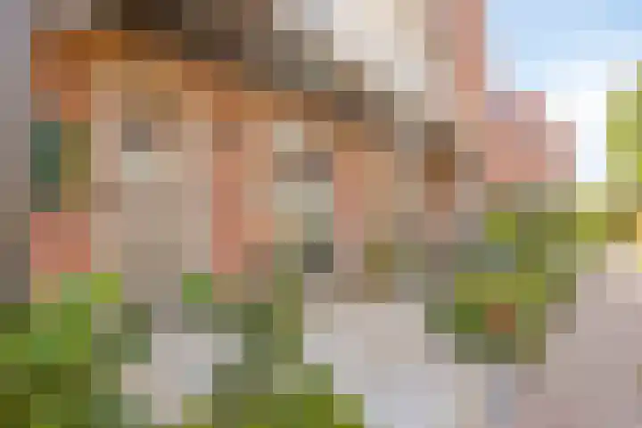 Dennenhout 11 Waddinxveen thumbnail 6