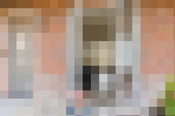 Dennenhout 11 Waddinxveen thumbnail 7