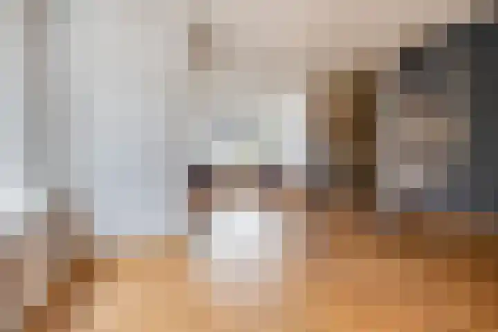Dennenkamp 27 Apeldoorn thumbnail 11